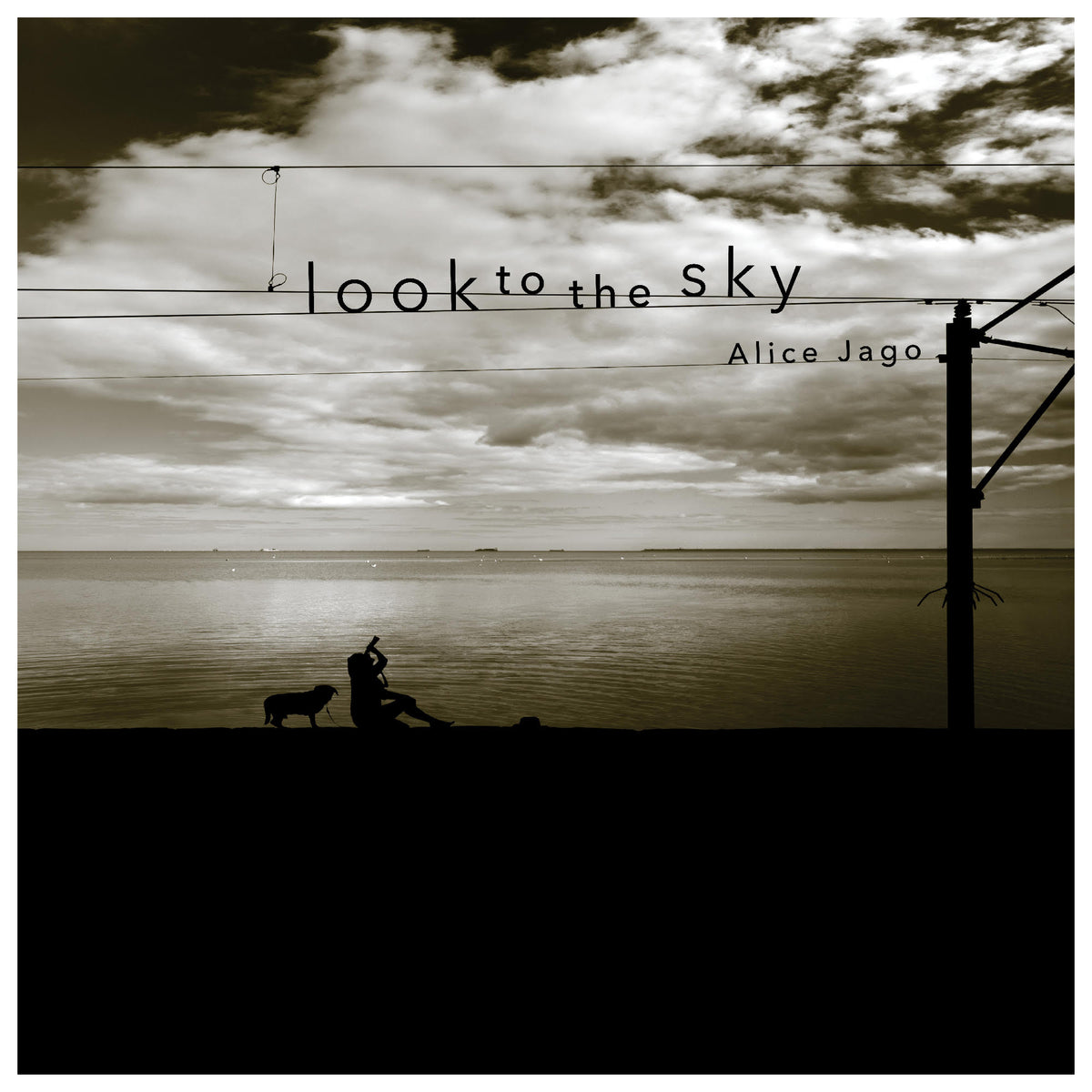 Look To The Sky LP