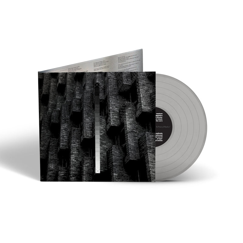 In Praise of Shadows (Limited 12" Vinyl) - alternate view