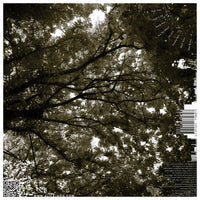 Look To The Sky LP