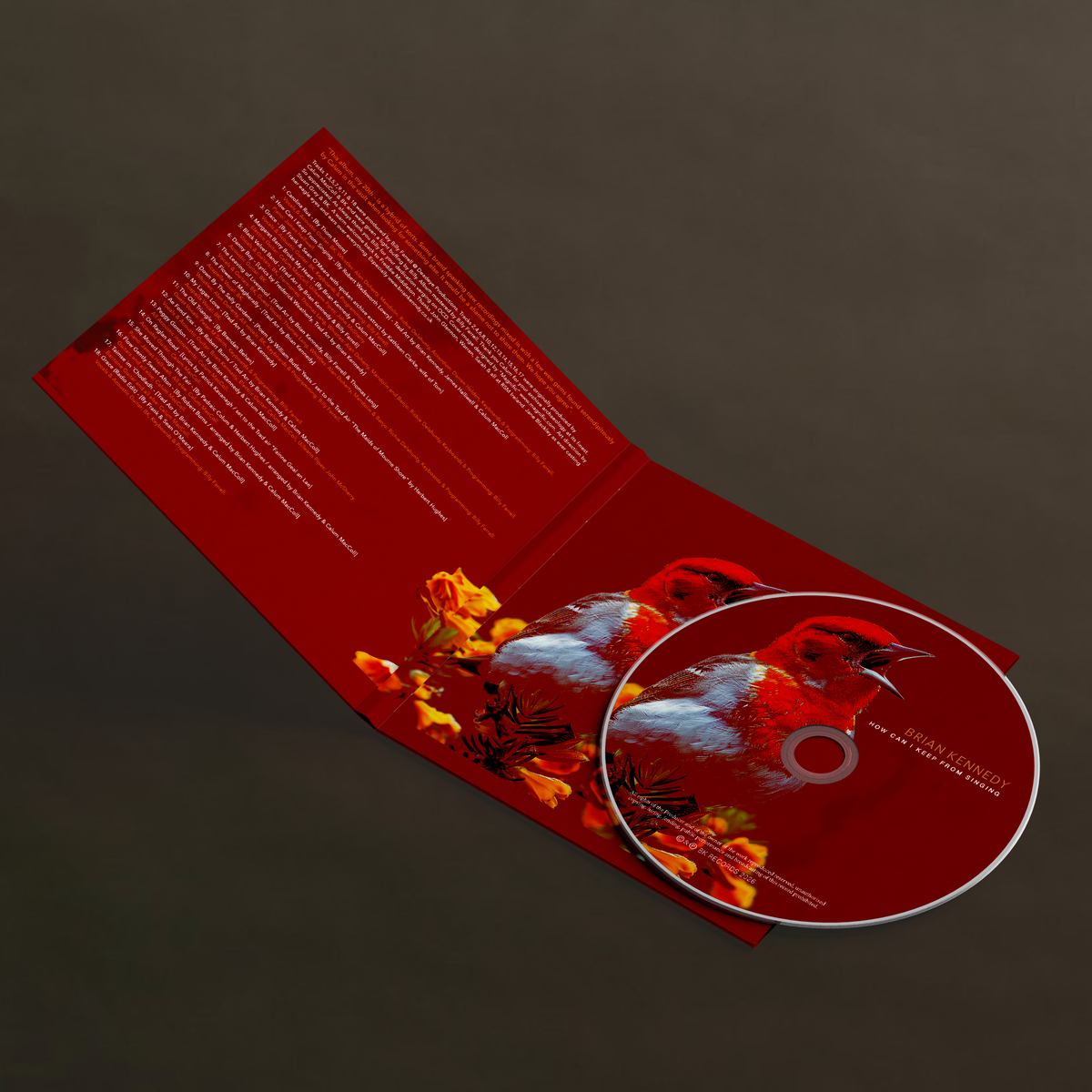 How Can I Keep From Singing (Compact Disc)