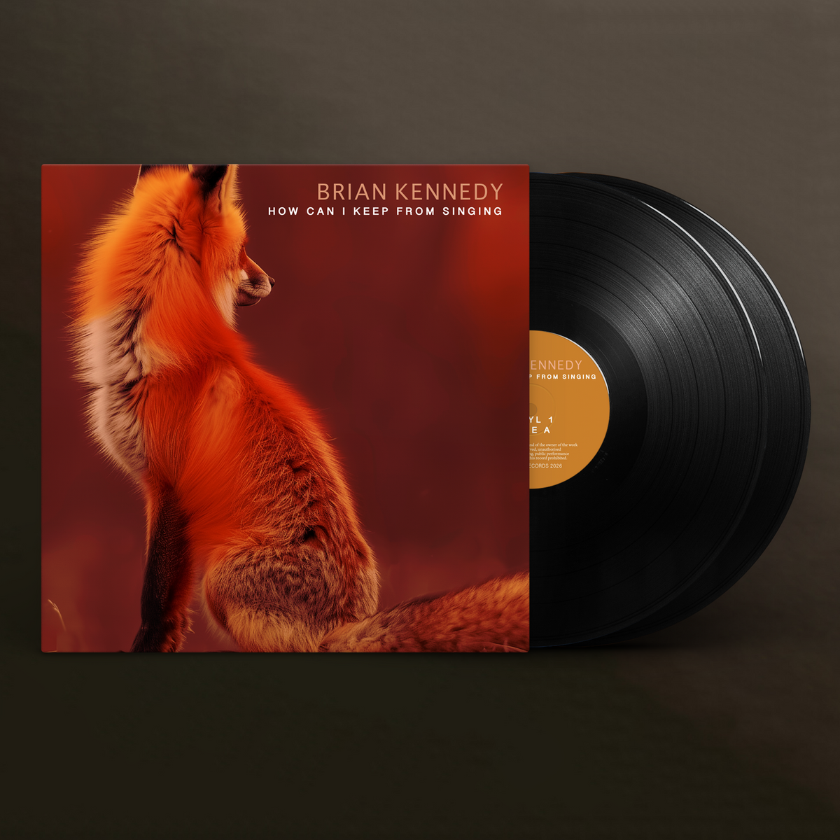 How Can I Keep From Singing (Double LP)