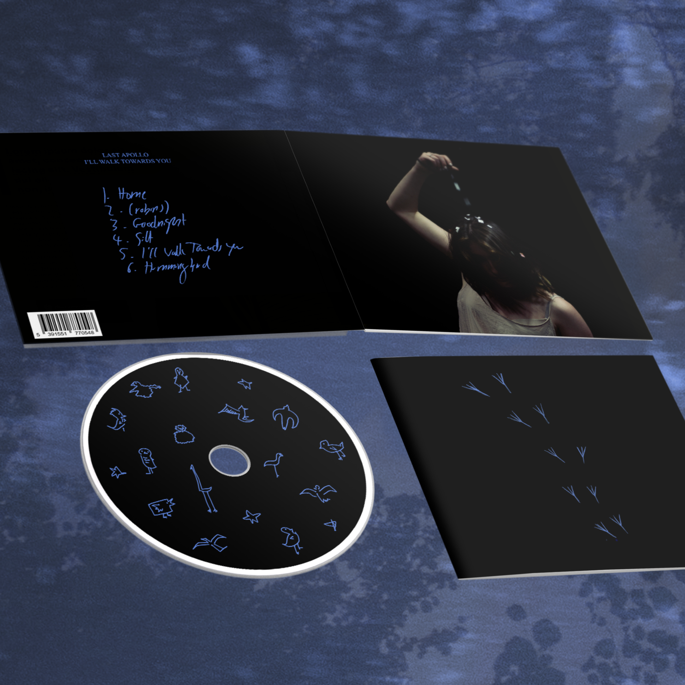 I'll Walk Towards You (CD)