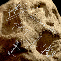 Gorta (Ireland Exclusive Limited Edition Clay Vinyl LP)